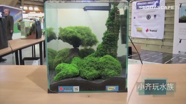 魚缸彩燈價格多少錢（魚缸彩燈價格多少錢一個）
