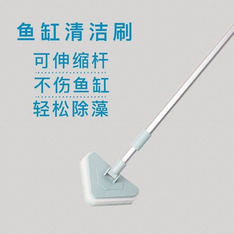 大型魚缸清潔魚選什么好呢：大型魚缸清潔魚的選擇