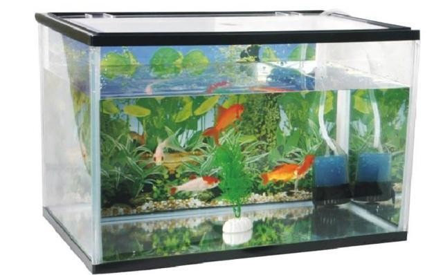 通化市東昌區(qū)龍發(fā)七彩水族館（通化二道江七彩城在哪）