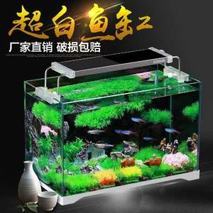 鞍山市鐵東區宏園精品水族館（鞍山市鐵東區宏園精品水族館電話）