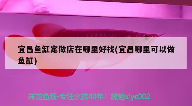 五華龍魚有哪些獨特的品種？，五花龍魚有哪些獨特品種？