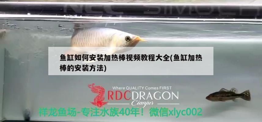 龍魚(yú)適合造景缸嗎vs祥龍魚(yú)場(chǎng)：龍魚(yú)是否適合造景缸 龍魚(yú)適合造景缸嗎vs祥龍魚(yú)場(chǎng)：龍魚(yú)是否適合造景缸 vs祥龍魚(yú)場(chǎng) 第1張