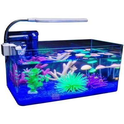 帶蓋子的魚缸好嗎：帶蓋子的魚缸和不帶蓋子的魚缸區(qū)別