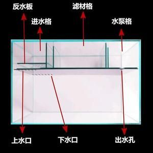 側濾魚缸怎么擺放濾材：側濾魚缸濾材擺放順序和方法