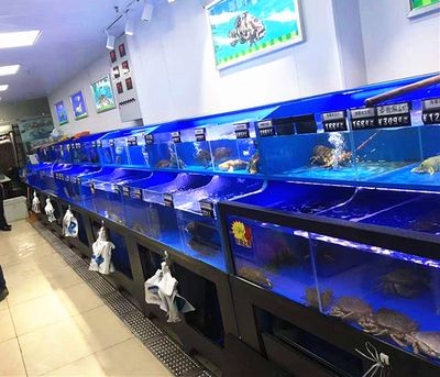 超市的魚缸怎樣管理水質(zhì)：超市海鮮池水質(zhì)管理