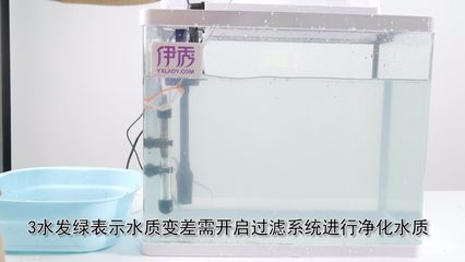 超市的魚缸怎樣管理水質(zhì)：超市海鮮池水質(zhì)管理