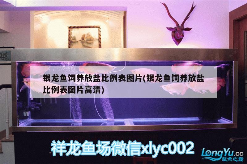 銀龍魚飼養放鹽比例表圖片(銀龍魚飼養放鹽比例表圖片高清)
