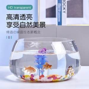 龍魚最小的缸（龍魚最小的缸是什么） 龍魚最小的缸（龍魚最小的缸是什么） 魚缸百科