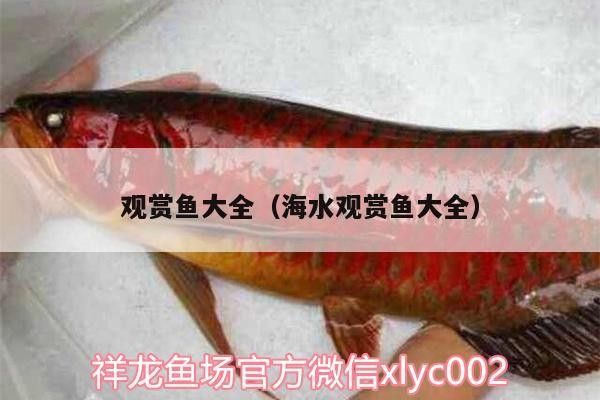 鸚鵡魚 觀賞魚大全(海水觀賞魚大全) 金龍魚百科 觀賞魚大全(海水觀賞魚大全) 觀賞魚大全(海水觀賞魚大全) 金龍魚百科