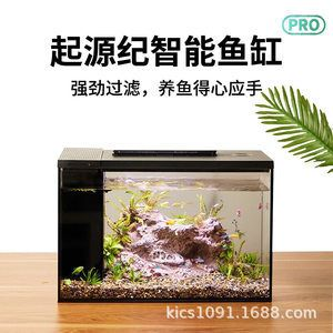 不用過濾的原生態魚缸：不用過濾器的養魚方式
