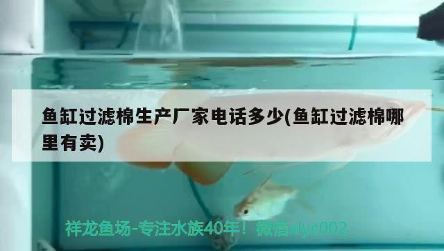 魚缸過濾棉生產廠家電話多少(魚缸過濾棉哪里有賣)