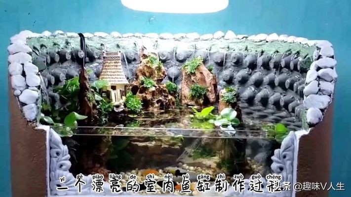 20厘米過背金龍魚圖片(40公分過背金龍魚價格) 20厘米過背金龍魚圖片(40公分過背金龍魚價格) 金龍魚百科