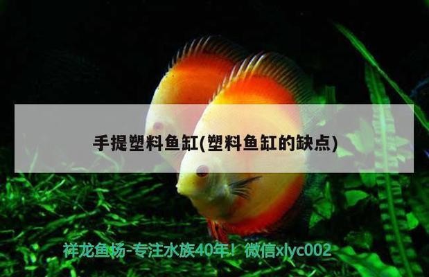 博特魚缸哪里生產(chǎn)的好些（博特魚缸哪里生產(chǎn)的好些呢）