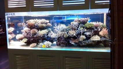佳木斯水族館vs祥龍魚場（佳木斯水族館與祥龍魚場之間的差異之前，我們需要明確兩者的信息） 佳木斯水族館vs祥龍魚場（佳木斯水族館與祥龍魚場之間的差異之前，我們需要明確兩者的信息） 全國水族館企業名錄 第2張