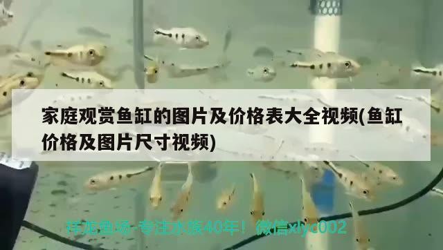 家庭觀賞魚缸的圖片及價格表大全視頻(魚缸價格及圖片尺寸視頻) 家庭觀賞魚缸的圖片及價格表大全視頻(魚缸價格及圖片尺寸視頻) 魟魚百科