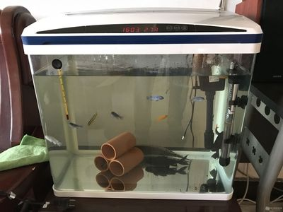 1.2米魚缸需要什么基本配件呢：1.2米的魚缸需要哪些基本配件 1.2米魚缸需要什么基本配件呢：1.2米的魚缸需要哪些基本配件 魚缸百科 第1張