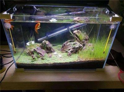 不想用的魚(yú)缸怎么處理干凈呢：如何處理不想用的魚(yú)缸？