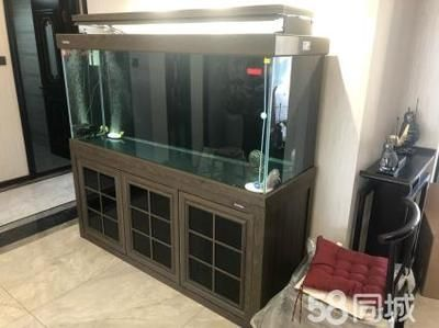 森森魚缸h2g 森森魚缸h2g 森森魚缸