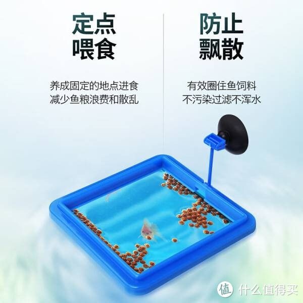 虎門水族館探秘虎門水族館探秘虎門魚缸定制的藝術：東莞市虎門慕華五金配件