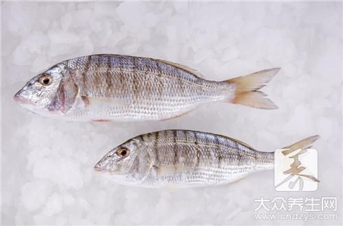 龍魚漲肚子怎么治療vs祥龍魚場：如何預(yù)防龍魚疾病 龍魚漲肚子怎么治療vs祥龍魚場：如何預(yù)防龍魚疾病 vs祥龍魚場 第1張