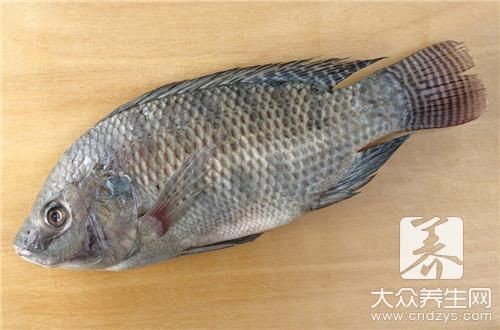 龍魚漲肚子怎么治療vs祥龍魚場：如何預(yù)防龍魚疾病 龍魚漲肚子怎么治療vs祥龍魚場：如何預(yù)防龍魚疾病 vs祥龍魚場 第2張