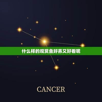 忻州魚缸批發(fā)市場(chǎng)在哪兒啊（忻州魚缸批發(fā)市場(chǎng)在哪兒啊多少錢）