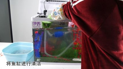 84消毒液可以給魚缸消毒嗎:84消毒液如何正確使用84消毒液消毒液的注意事項(xiàng)