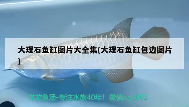 大理石魚(yú)缸圖片大全集(大理石魚(yú)缸包邊圖片)