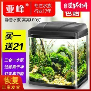 29l的魚缸養(yǎng)幾條魚：魚缸養(yǎng)魚數(shù)量的影響因素