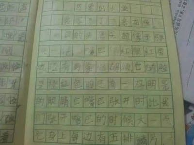 龍魚的養護與鑒賞作文怎么寫的呀