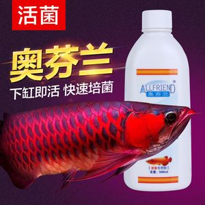 紅龍魚蒙眼最好藥是什么藥？：紅龍魚蒙眼治療期間的注意事項 紅龍魚蒙眼最好藥是什么藥？：紅龍魚蒙眼治療期間的注意事項 紅龍魚百科 第1張