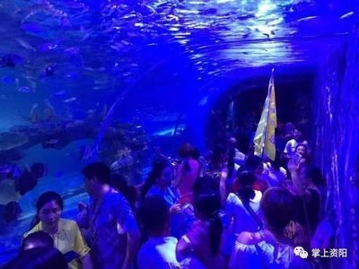 資陽水族館vs祥龍魚場（資陽市雁江區有兩個知名的水族館）