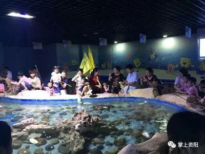 資陽水族館vs祥龍魚場（資陽市雁江區有兩個知名的水族館）
