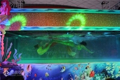 資陽水族館vs祥龍魚場（資陽市雁江區有兩個知名的水族館）