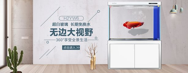 魚缸用增氧泵價格是多少:魚缸增氧機-xtrac增氧機-xtrac增氧機 森森寵物生活專營店 森森魚缸 森森寵物生活專營店 森森寵物生活專營店 森森魚缸
