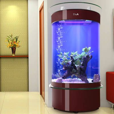 大型魚缸去哪里買便宜的：如何自制魚缸省錢又省空間