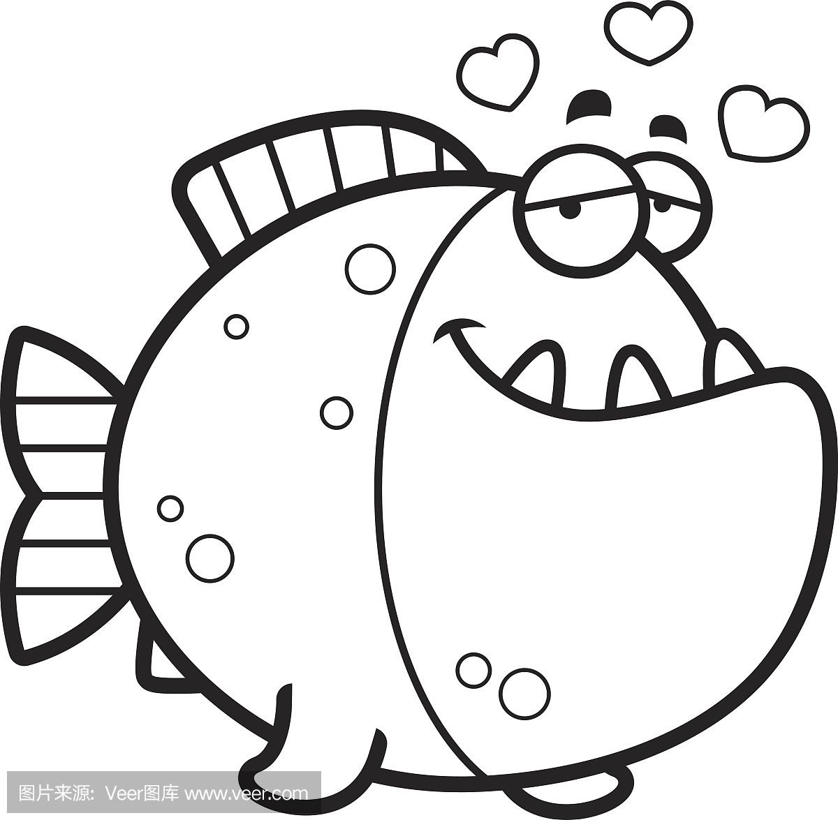 印度虎魚的愛情故事視頻：關于印度虎魚的愛情故事視頻 印度虎魚的愛情故事視頻：關于印度虎魚的愛情故事視頻 虎魚百科 第1張