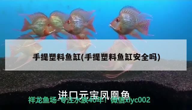 手提塑料魚缸(手提塑料魚缸安全嗎)