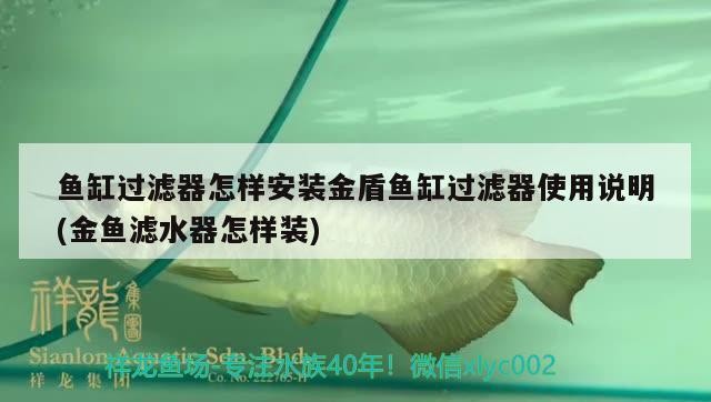魚缸過濾器怎樣安裝金盾魚缸過濾器使用說明(金魚濾水器怎樣裝)