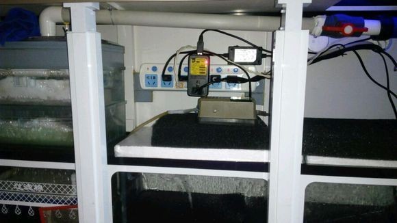 博特水泵顯示Err（博特水泵顯示err如何解決） 博特水泵顯示Err（博特水泵顯示err如何解決） 博特水族