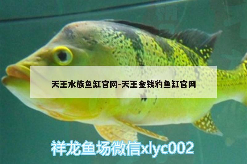 天王水族魚缸官網:天王金錢豹魚缸官網
