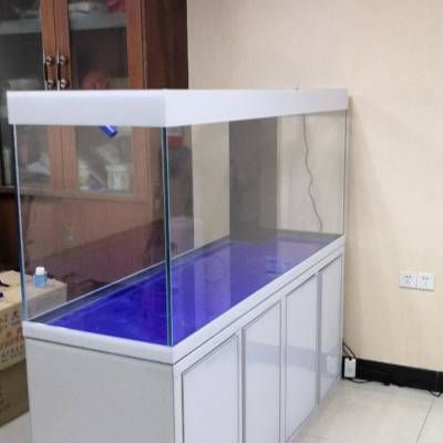 大魚缸養啥魚好：適合在大魚缸中養殖的魚類
