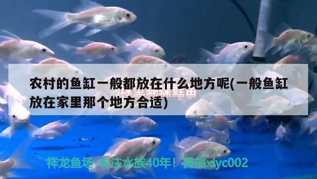 農村的魚缸一般都放在什么地方呢(一般魚缸放在家里那個地方合適)