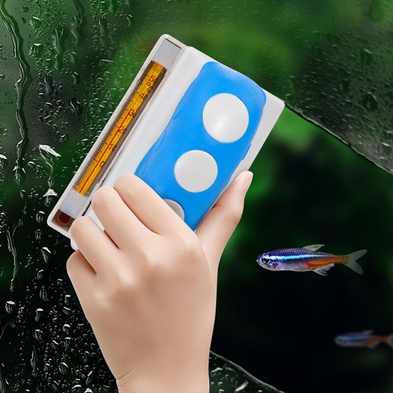 大魚缸怎樣清洗干凈：如何清洗大魚缸