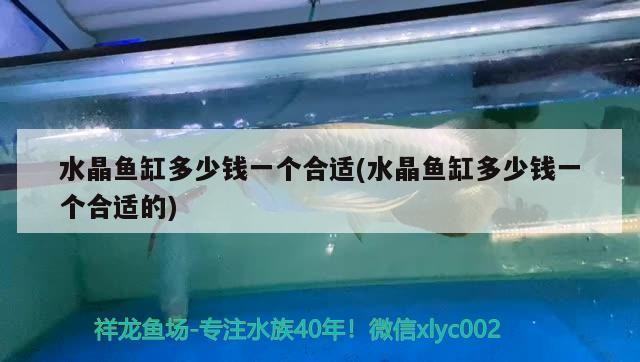 水晶魚缸多少錢一個(gè)合適(水晶魚缸多少錢一個(gè)合適的)