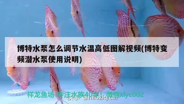 博特水泵怎么調節(jié)水溫高低圖解視頻(博特變頻潛水泵使用說明)