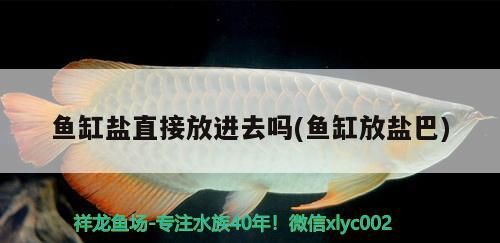 魚缸鹽直接放進去嗎(魚缸放鹽巴)