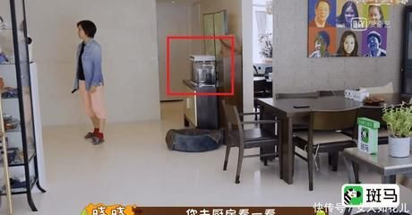 泰虎混養(yǎng)埃及怎么樣：泰虎與埃及神仙魚混養(yǎng)可行嗎