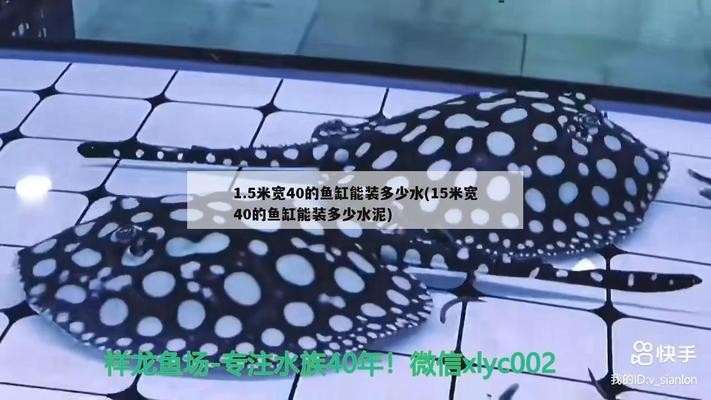 蘭州龍魚茶館地址在哪里?。ㄌm州龍魚茶館地址在哪里啊電話）