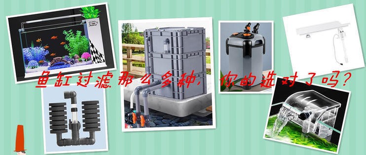 北京劉孟廉水族店（北京劉孟家園） 北京劉孟廉水族店（北京劉孟家園） 全國水族館企業名錄 第2張